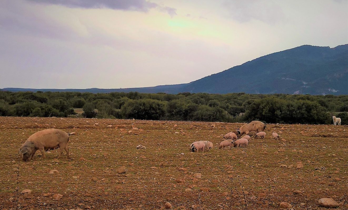 Mamakita.gr