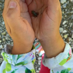 peloponnese kids greece vytina frog baby