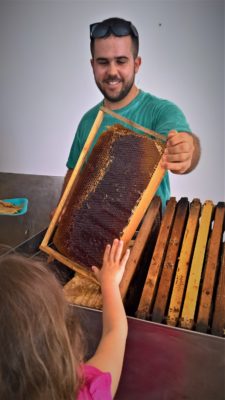 kids Greece beekeeping museum nafplio