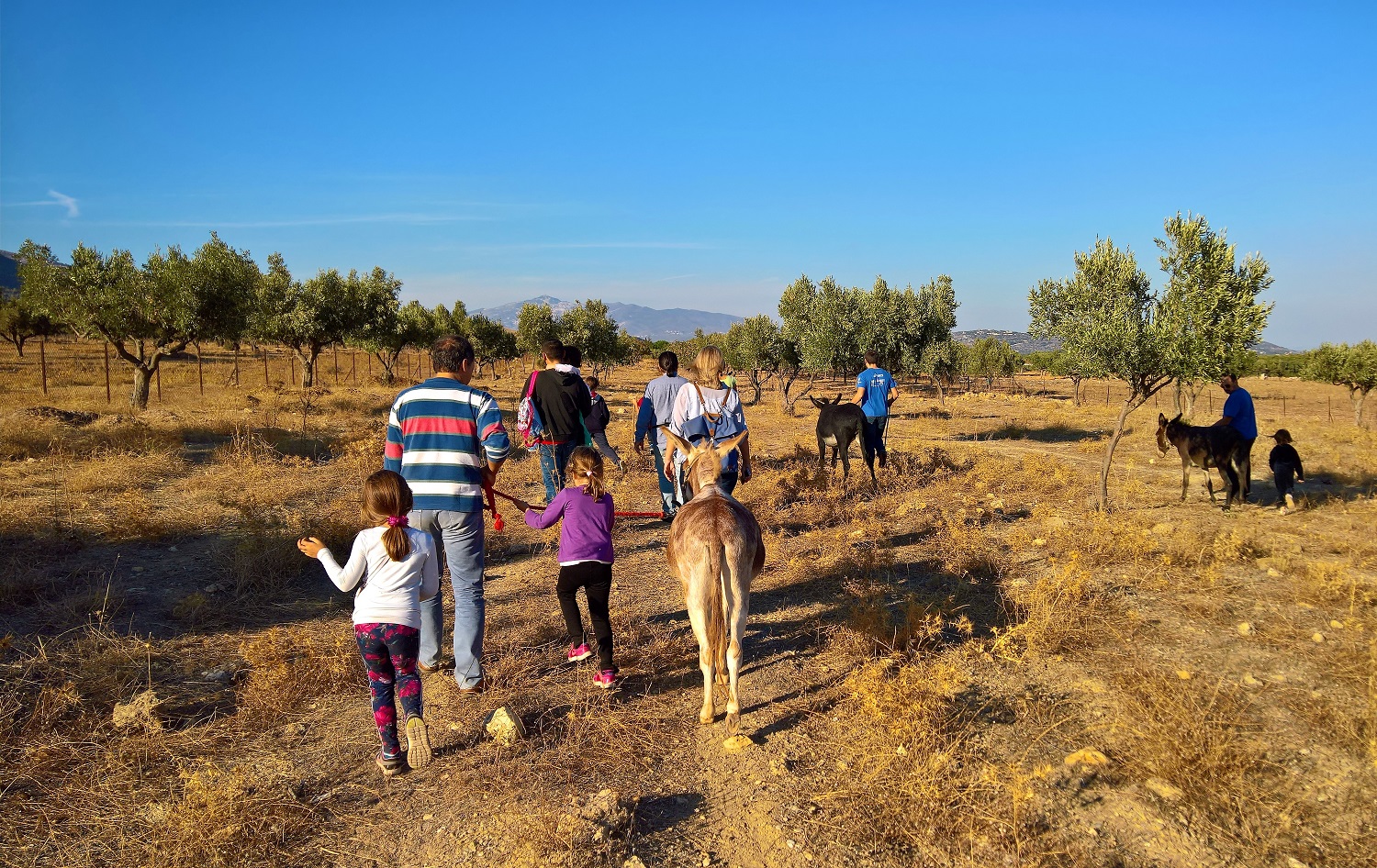 park activities athens kids Greece