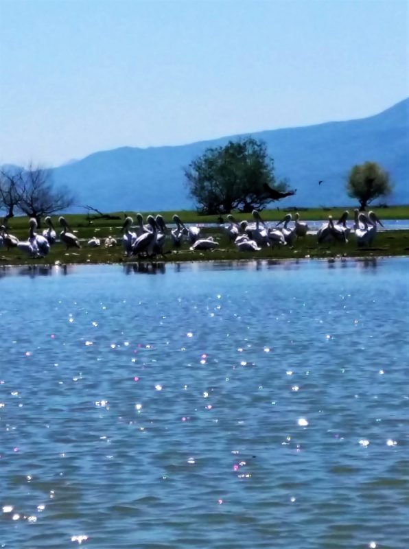 Mamakita.gr