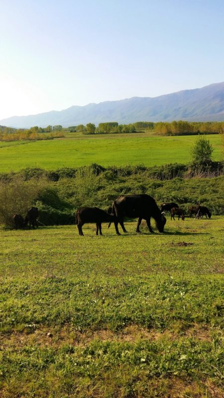 Mamakita.gr