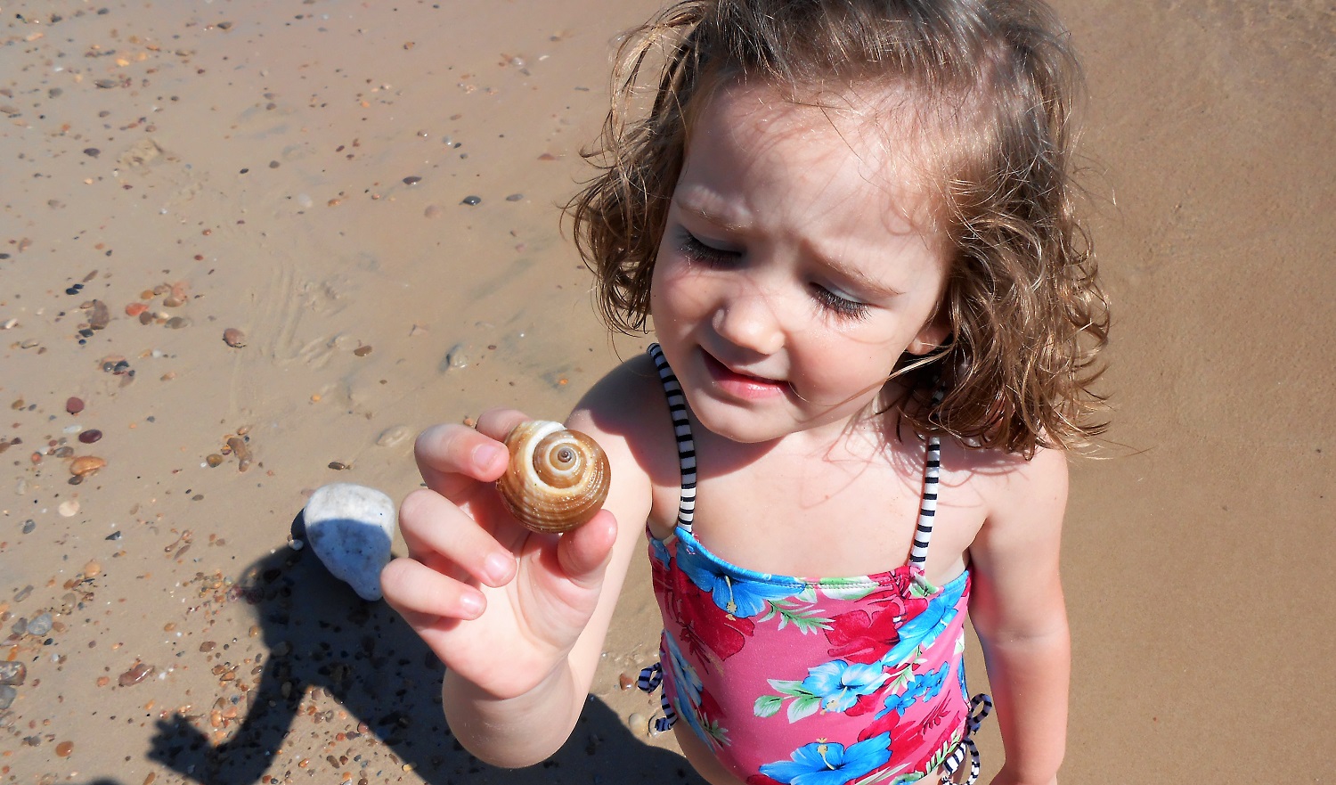 summer in Greece kids sea shell