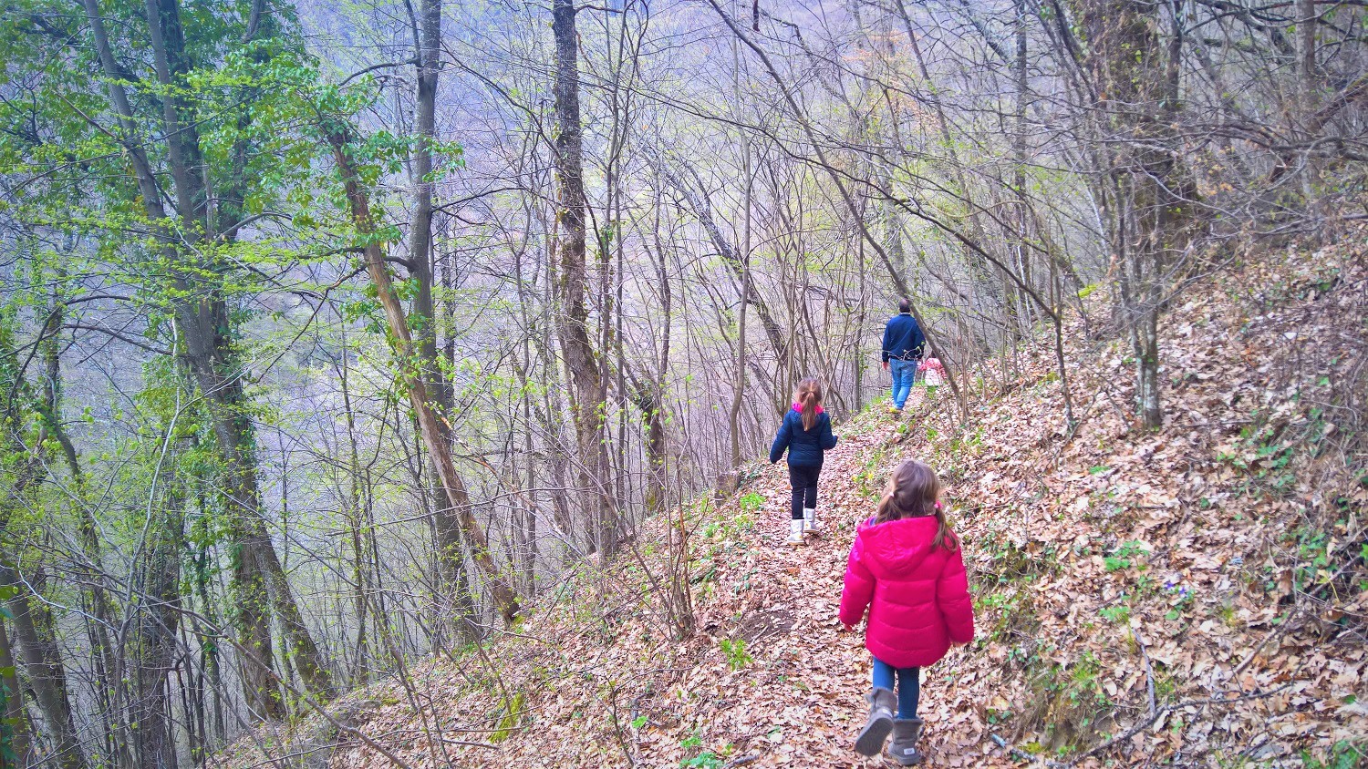 kids Greece hiking forest