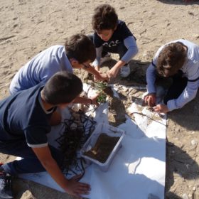 kids beach Greece ecology learning education
