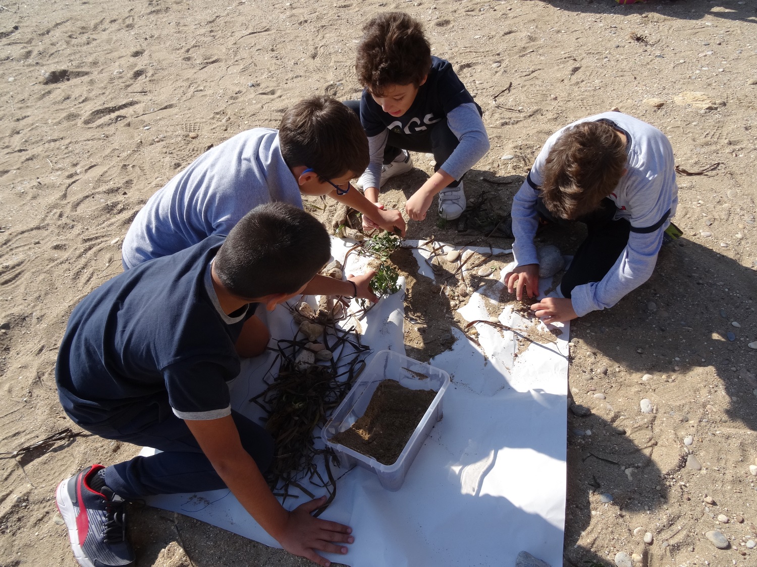 kids beach Greece ecology learning education