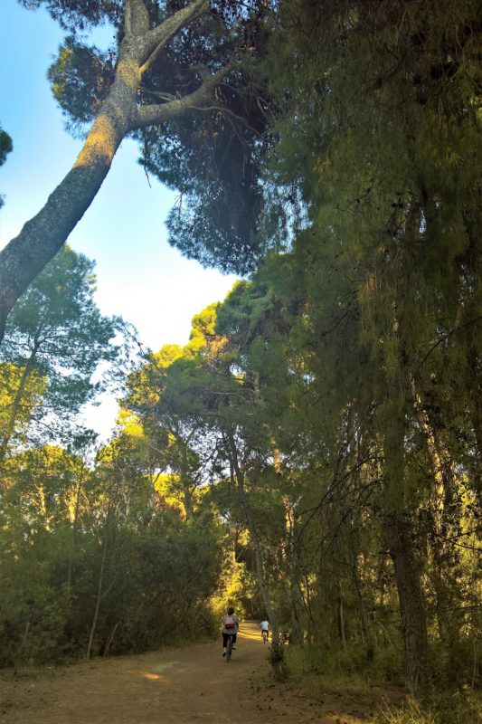 Mamakita.gr