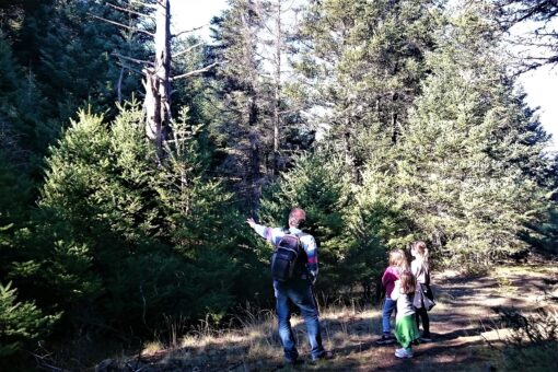 hiking family kids greece menalon trail