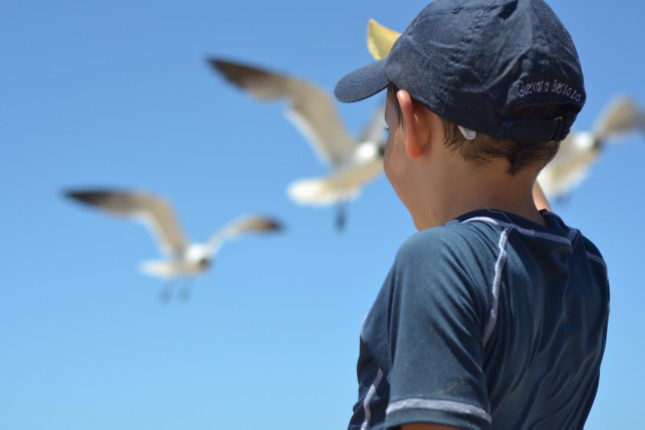 kid seagulls greece summer