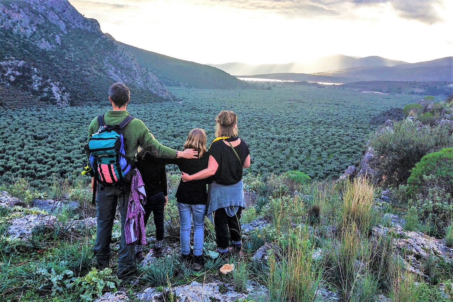 family hiking delphi ancient olive grove