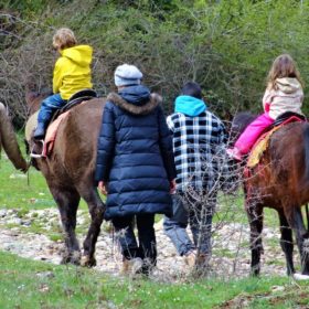 horse riding kids family doxa lake