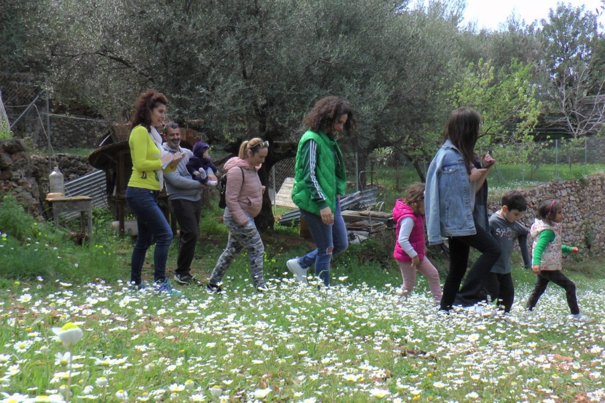 Art Farm messenia peloponnese farming with kids
