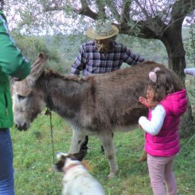Art Farm messenia peloponnese farming with kids
