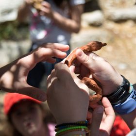 crete activities kids tours greece