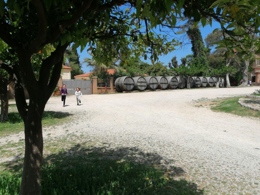 wine castle winery Achaia Clauss Peloponnese