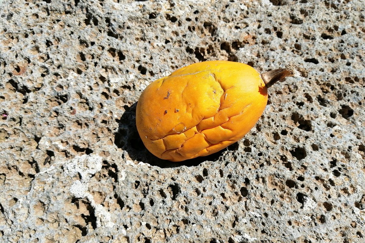 Mamakita.gr