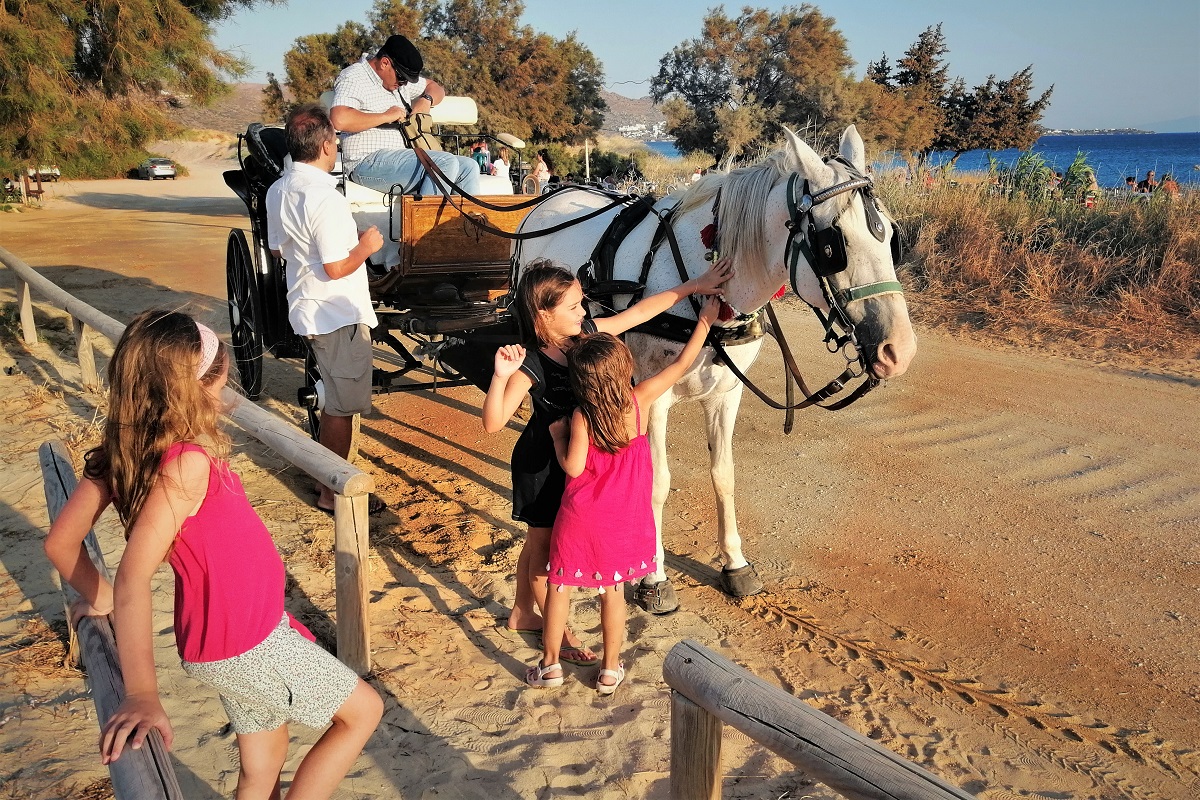 naxos kids horse carriage ride