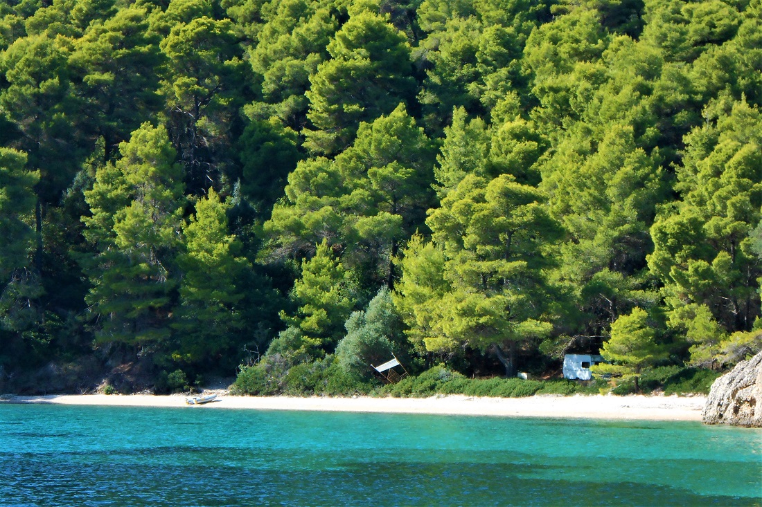 kalamos beach trees