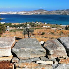 paros greek islands eco farming