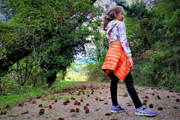 chestnuts hiking abeliona